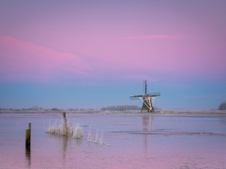Ryptsjerksterpolder, 31 januari 2021