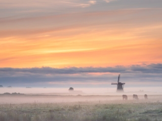 Lekkum, 25 augustus 2021