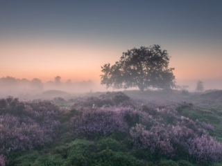 Bakkeveen, 3 september 2021