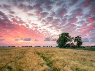 Hegebeintum, 21 juni 2020