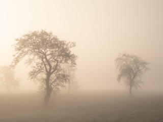 Friesland, 15 februari 2023