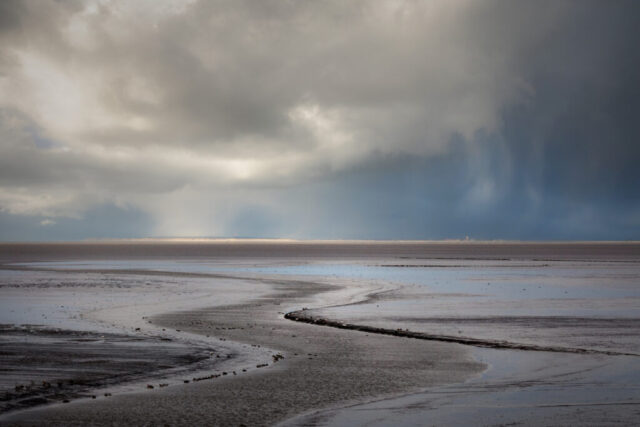 Zwarte Haan, 3 januari 2026