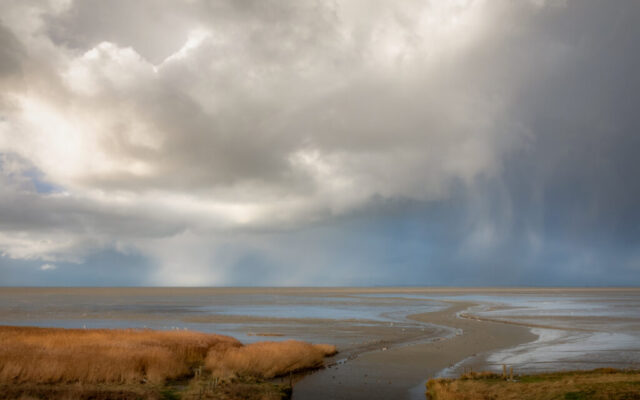 Zwarte Haan, 3 januari 2026