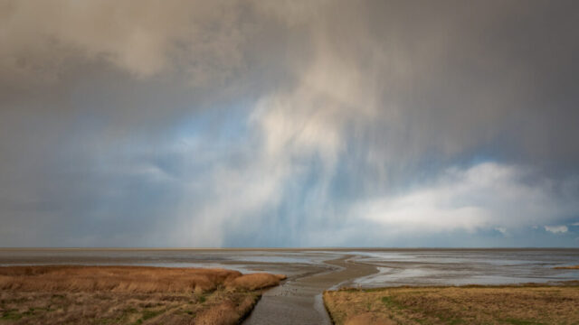 Zwarte Haan, 3 januari 2026