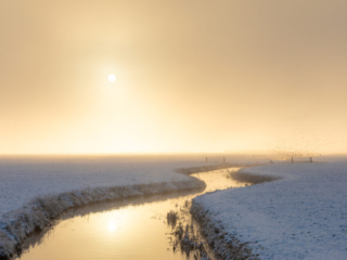 Lichtaard, 1 december 2023
