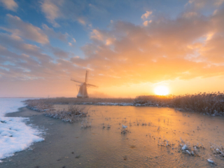 Lichtaard, 1 december 2023