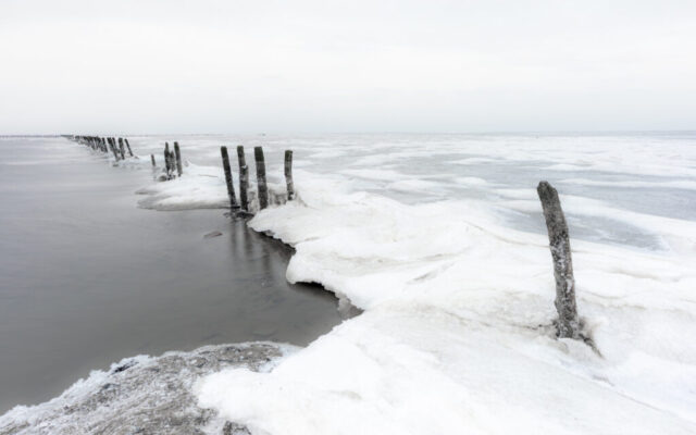 Ternaard, 3 februari 2026