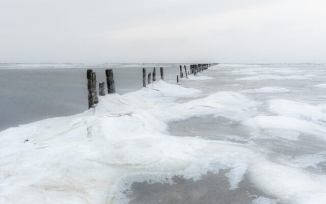 Ternaard, 3 februari 2026