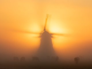 Wanswerd, 5 oktober 2024
