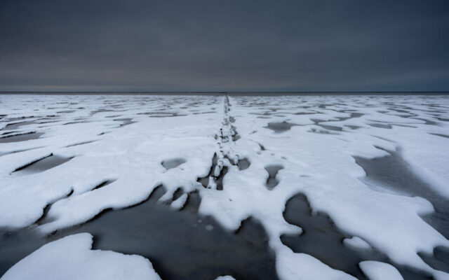 Ternaard, 7 januari 2026