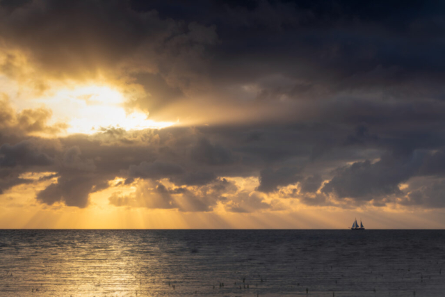 Koehool, 8 juli 2025