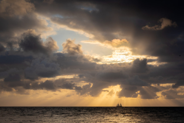 Koehool, 8 juli 2025