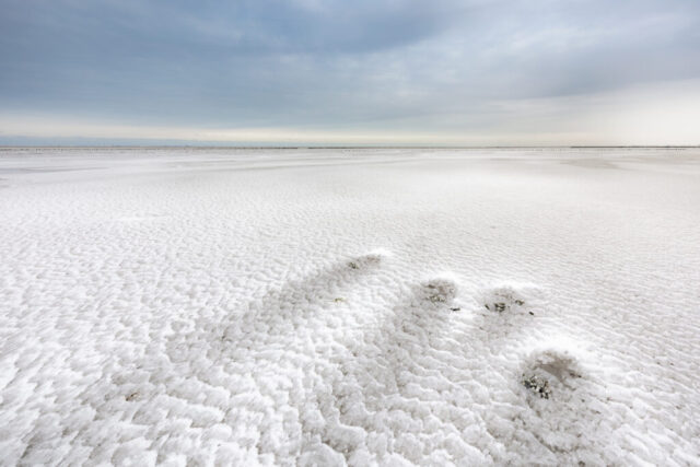 Holwerd, 10 januari 2026