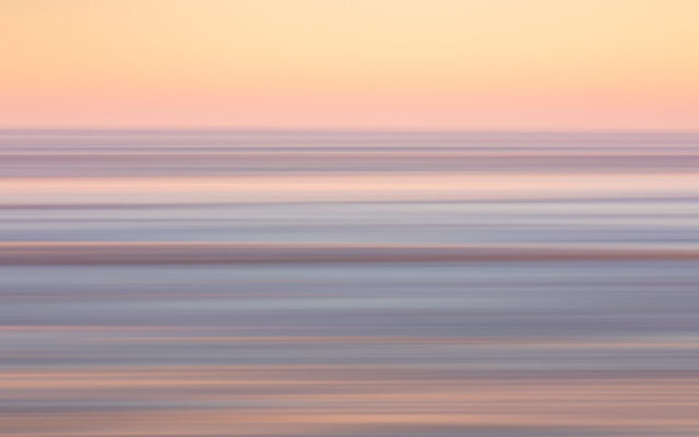 Koehool, 11 januari 2026