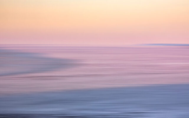 Koehool, 11 januari 2026