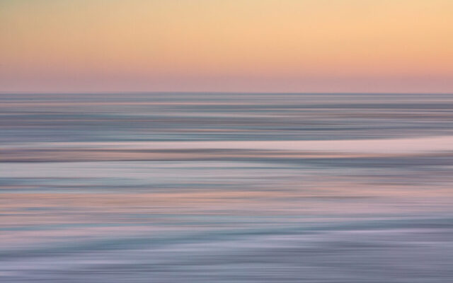 Koehool, 11 januari 2026