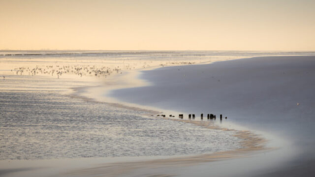 Holwerd, 13 december 2025