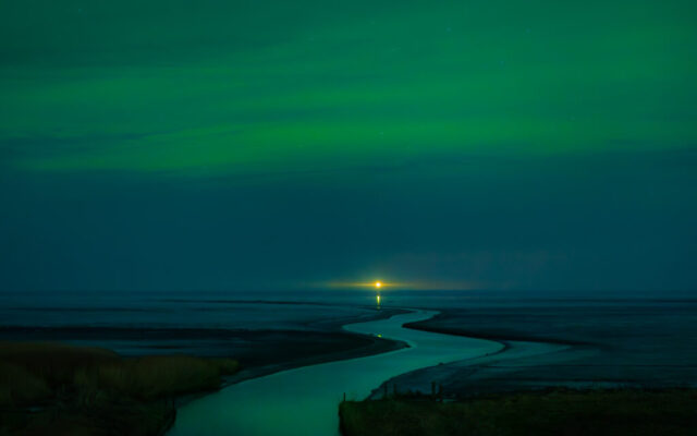 Zwarte Haan, 20 januari 2026