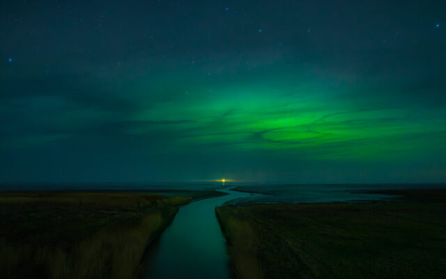 Zwarte Haan, 20 januari 2026