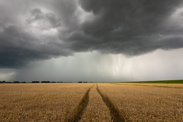 't Bildt, 20 juli 2025