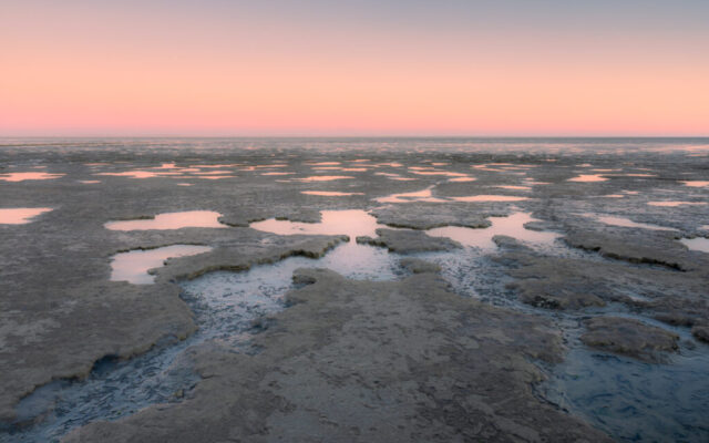 Koehool 25 december 2026